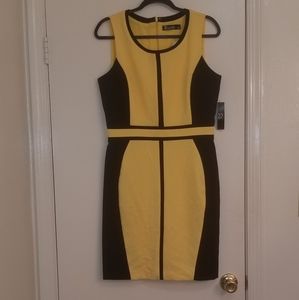 💞 3 for $25 New York & Co Dress